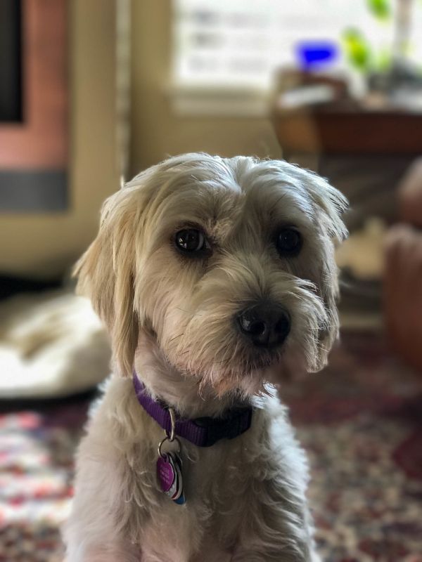 Phebe Portrait.jpg