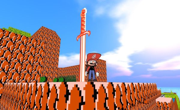 VIDEO GAME CHAMPION WIN