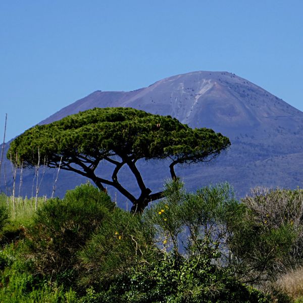 il Vesuvio, da Pompei