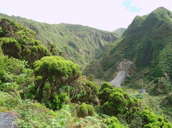 Paisagem entre Caldeiras e Lombadas - Ribeira Grande