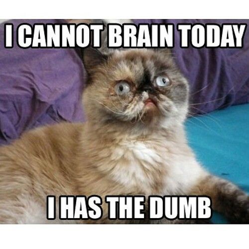 #braindead #brended (ok, bren ded is when I don't properly pronounce the #diphthong in brain dead - the tongue is not co