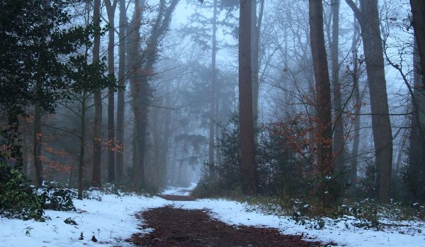 Winter Wonderland Ter Apel
