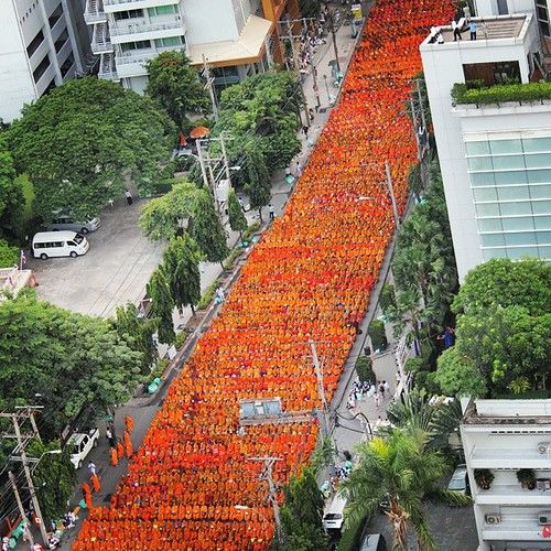 Thousands of Thai Buddhist Monks lining the streets in Bangkok, Thailand. #temples #thailand #bangkok #travel #world #ea